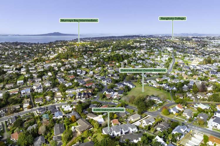 116D Oaktree Avenue Browns Bay_7