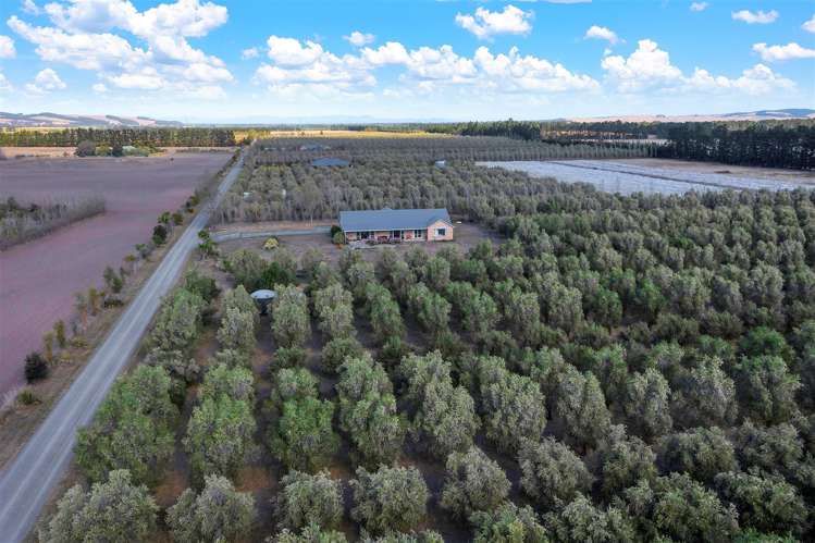 321p Georges Road Amberley_16