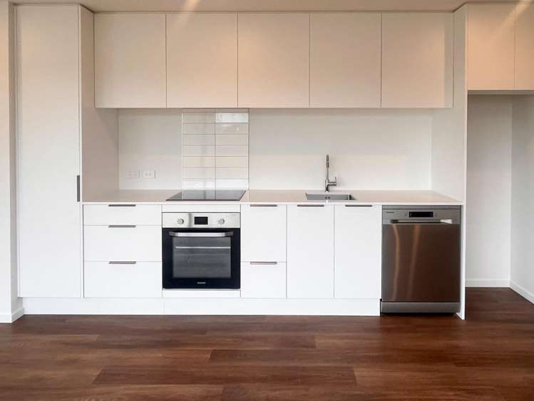 1/113 Edinburgh Street Spreydon_1