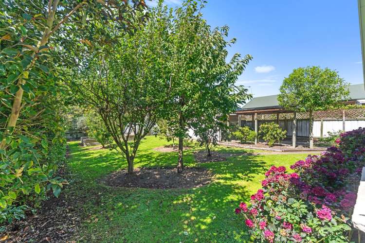 42 Bathurst Street Allenton_19