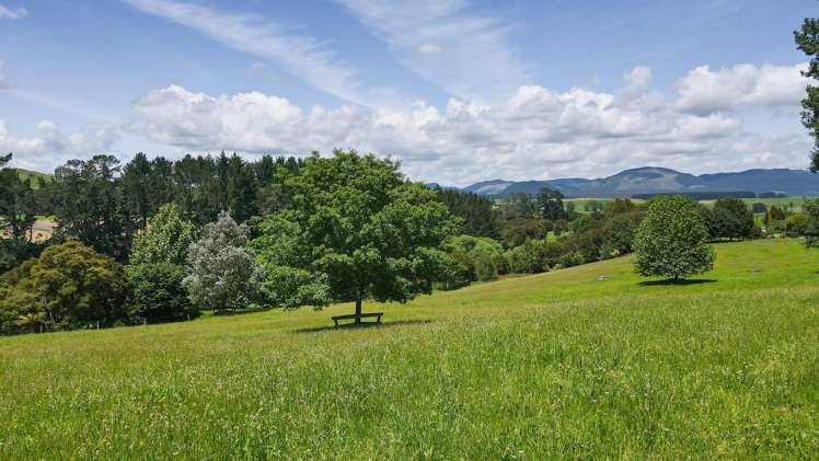 72 Gears Road Kinleith_16