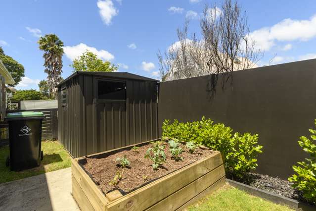 25a Cedar Grove Matua_4