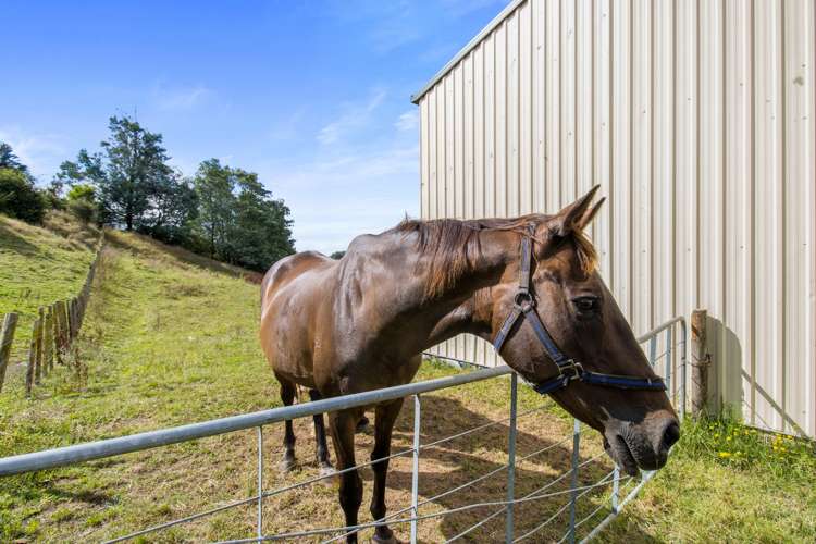 301 State Highway 5 Tirau_16