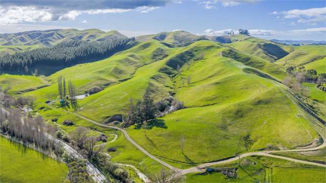 418 Tikokino Road Waipawa_3