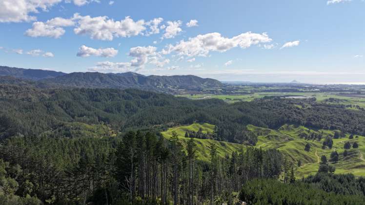 - Waioeka Pa Road Opotiki_19