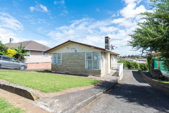 49 Ferguson Road Otara_1