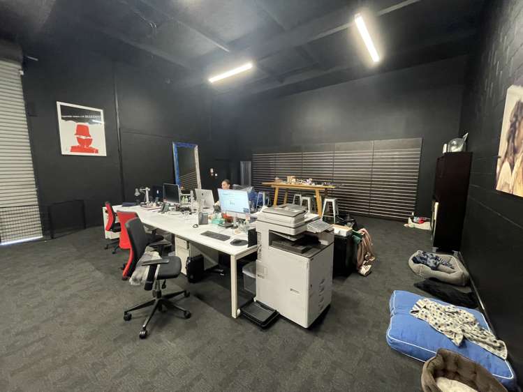 13 Pollen Street Grey Lynn_5