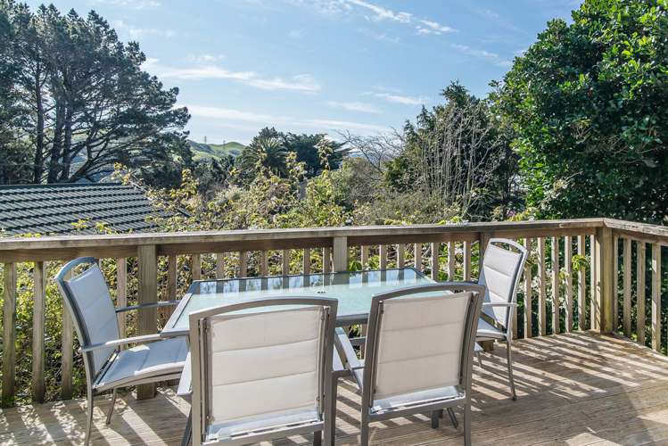 19a Cunliffe Street Johnsonville_11