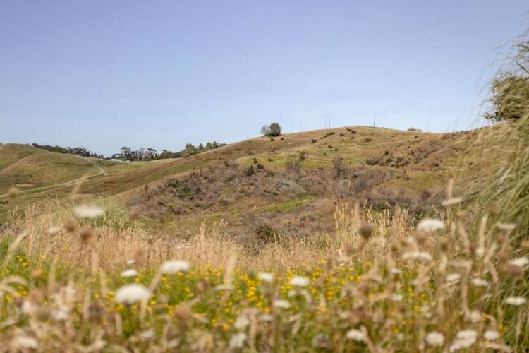 18 Moira Close Welcome Bay_20