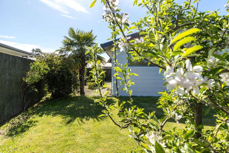 9 Manatu Place Witherlea_15