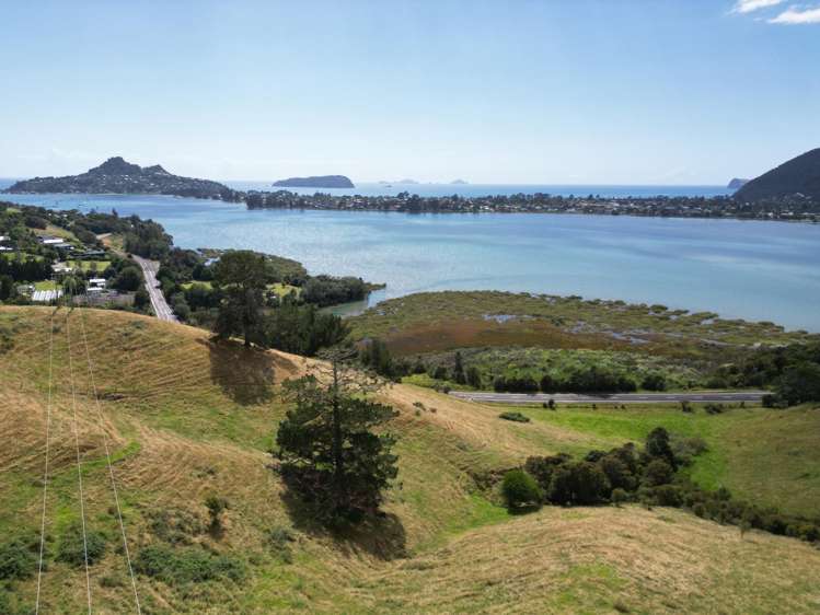 3327 Tairua Sh25 Road Pukepoto_30