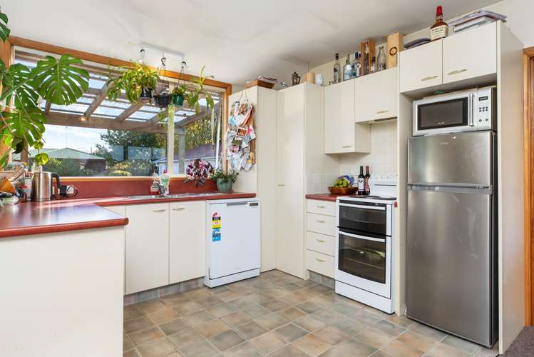 164 Grove Street Tinwald_7