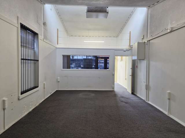 725c Grey Street Hamilton East_4