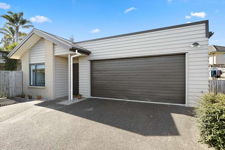 20 Taotahi Avenue_0