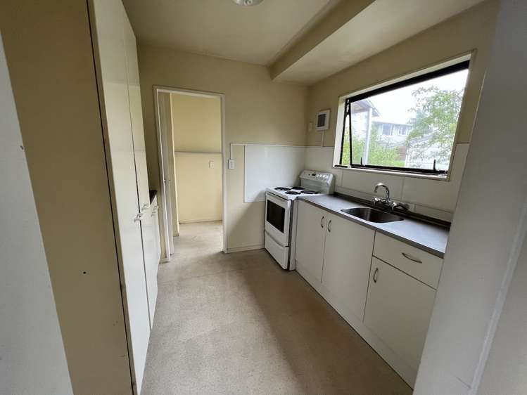 17 Park Road Titirangi_13