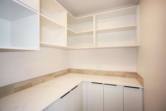 2 Netu Lane Pokeno_3