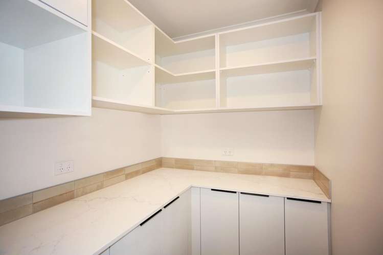 2 Netu Lane Pokeno_3