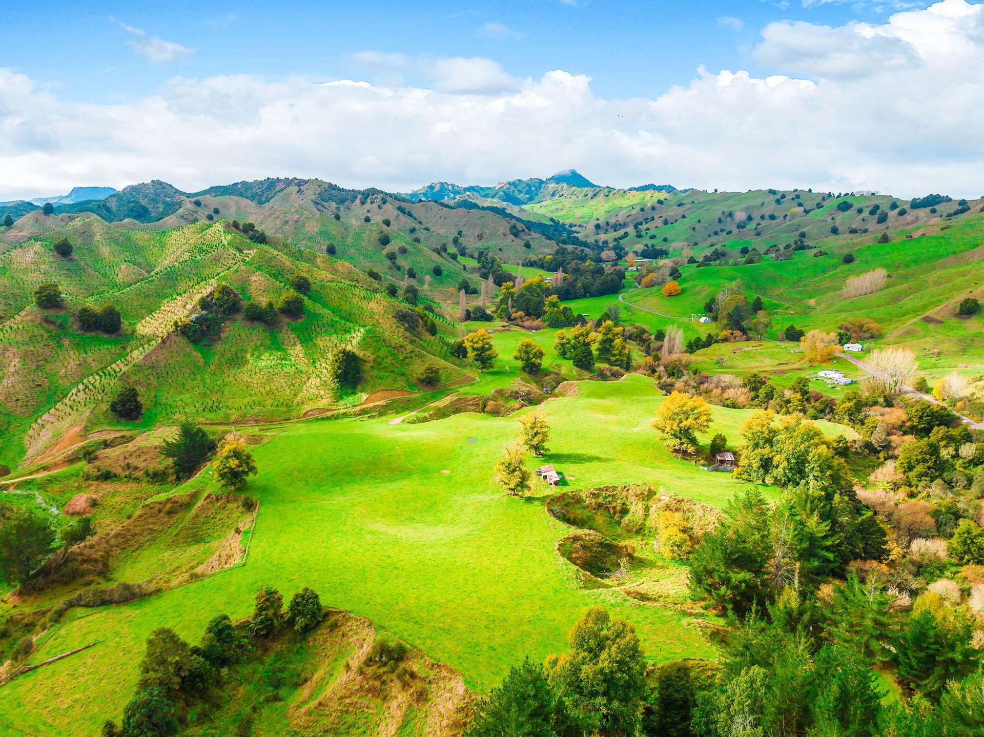 77 Borck Road Taumarunui_0