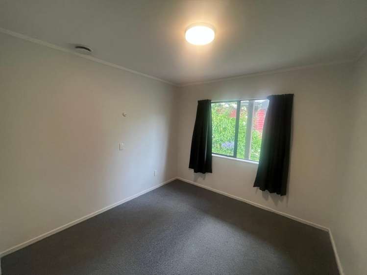 48 Norway Street Aro Valley_16