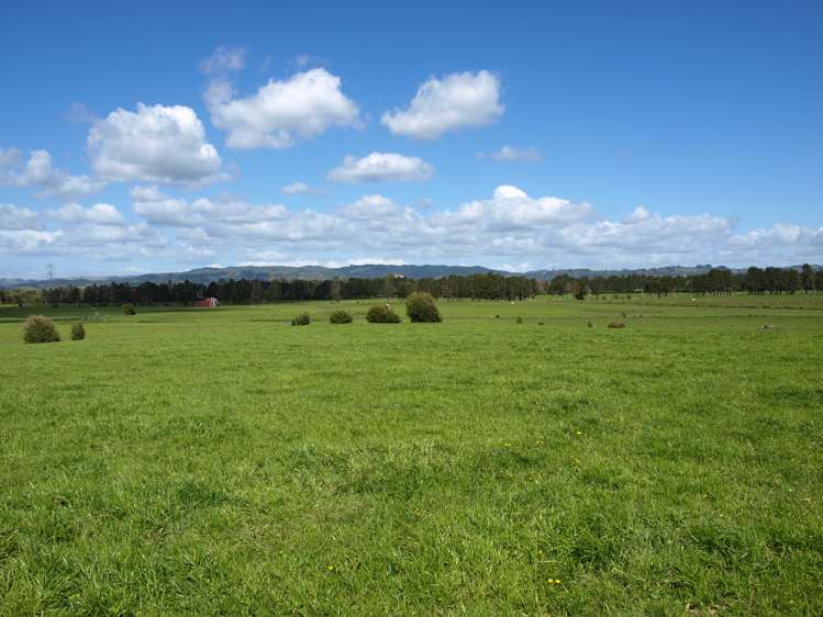 87 West Road Clevedon_1