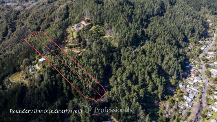 111 and 113 Blue Mountains Road Blue Mountains_14