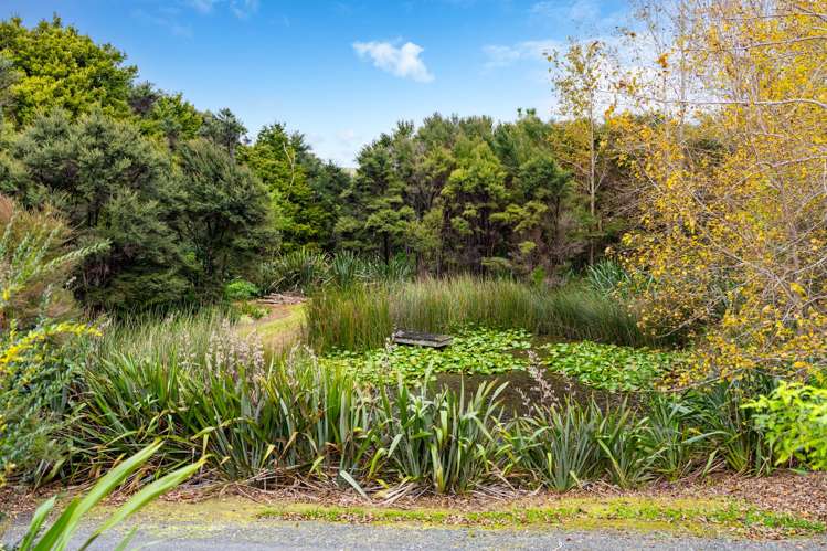 48 Garbolino Road Mangawhai_35