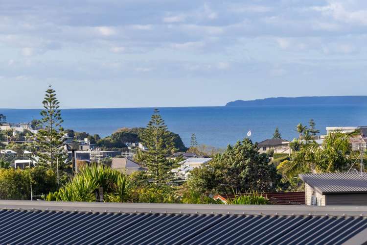 74 Matipo Road Mairangi Bay_7