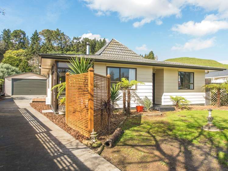 38 Raine Street Wanganui East_0