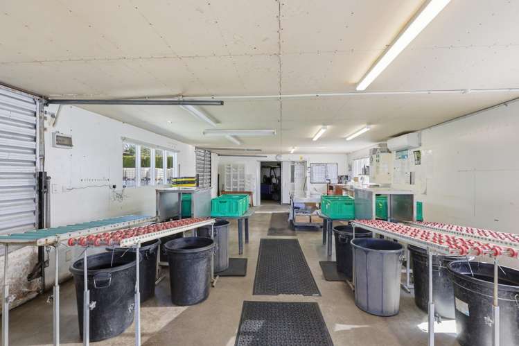 116 Wingatui Road Mosgiel_10