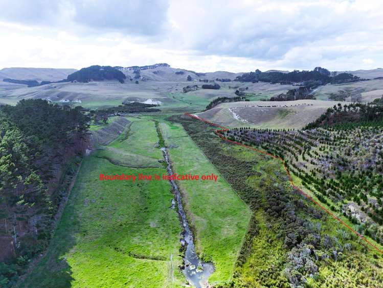 17 Kai Iwi Lakes Road Dargaville_8