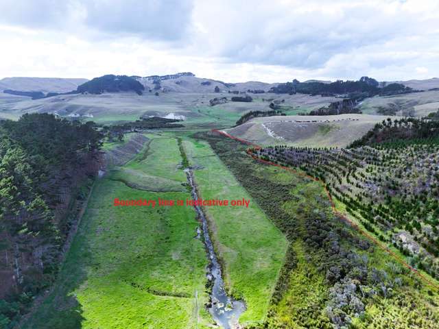 17 Kai Iwi Lakes Road Dargaville_1