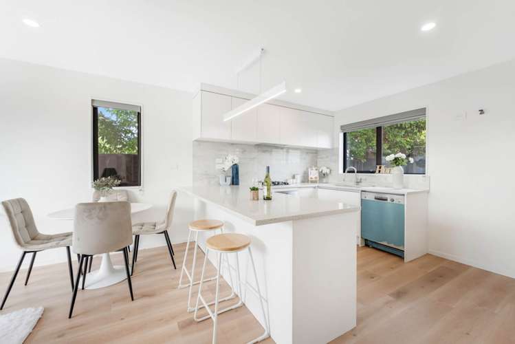 259B Mount Smart Road Onehunga_8
