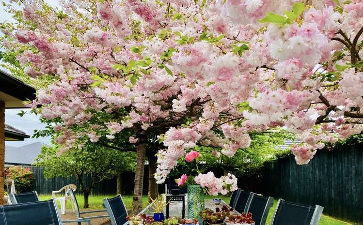 24 Date Crescent Aidanfield_27