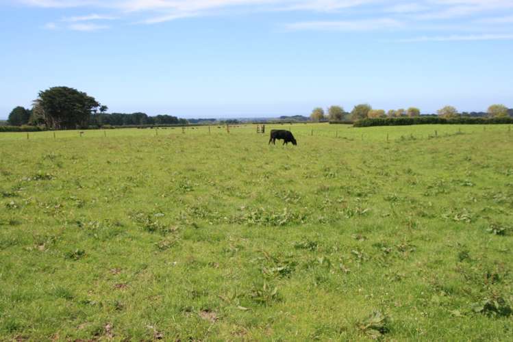 1641 Eltham Road Kaponga_17