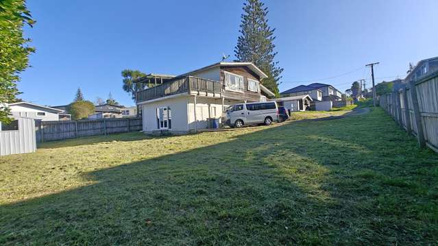148 Astley Avenue New Lynn_2
