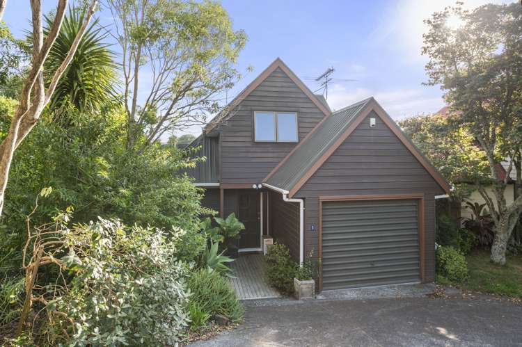 1/47 Ngake Street Orakei_24