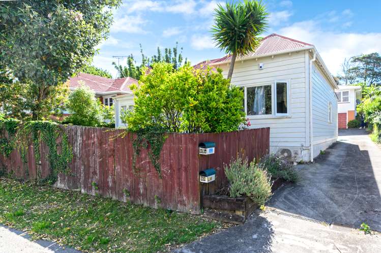 23a Whitmore Road Mount Roskill_17