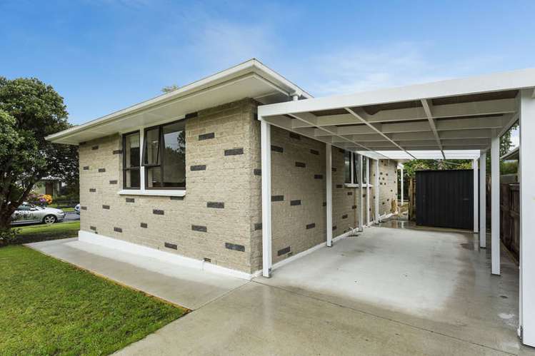 11 Vampire Road Waldronville_15