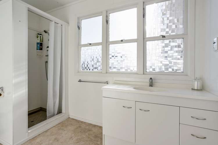 17 Seabrook Avenue New Lynn_11