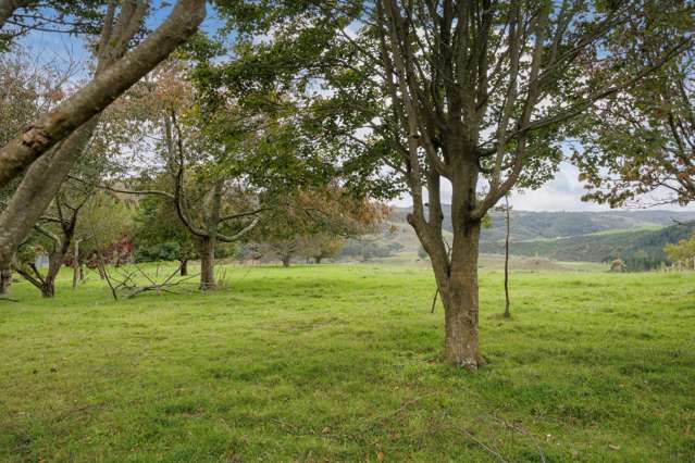 2/1745 Arapuni Road Te Awamutu_4