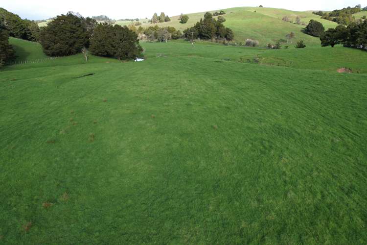 Corner of Paradise Road and State Highway 14 Tangiteroria_9