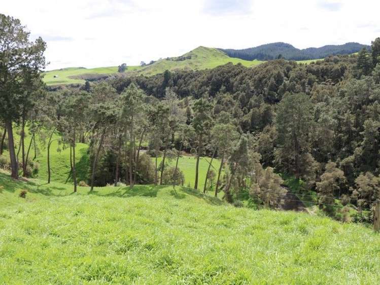 196 Hildreth Road Arapuni_10