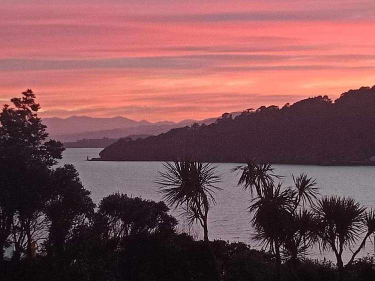 4 Kio Crescent Hataitai_16