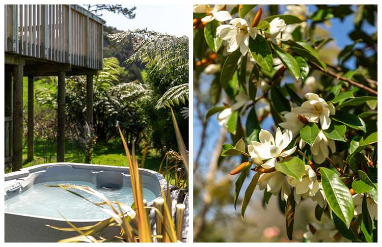 46 Princes Street Waikino_17