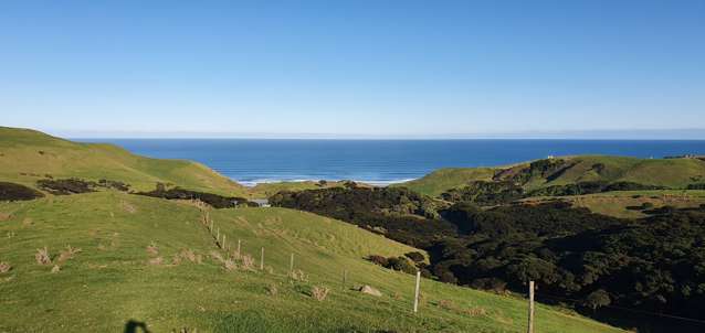 1549 Whaanga Road Raglan_4