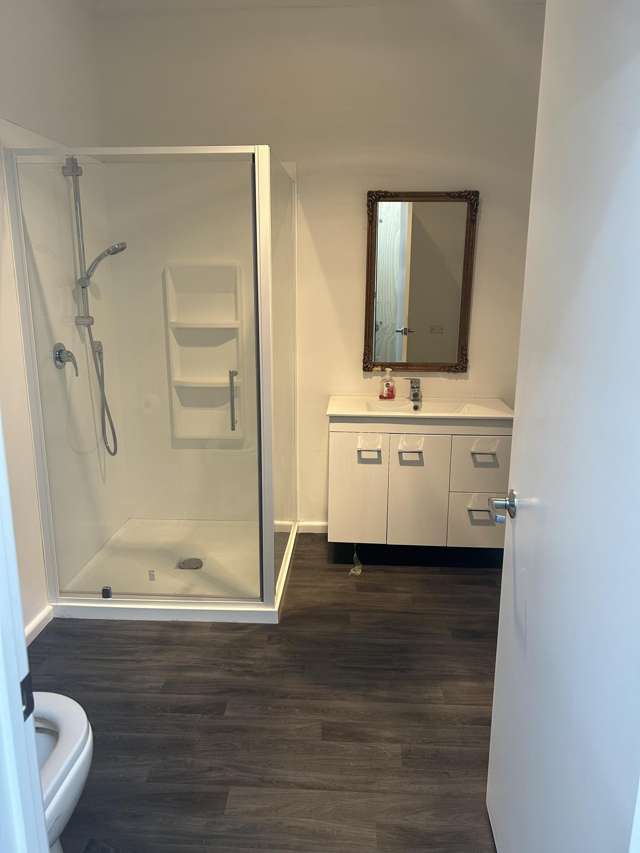 407 King Street Hastings_4