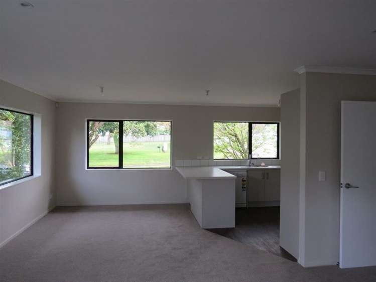 38 Argyle Avenue Levin_7