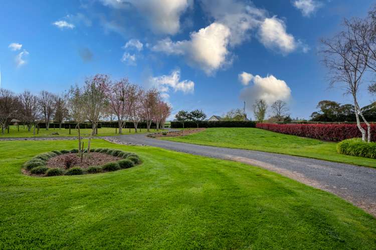 188 Bellevue Road Matangi_3