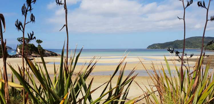 41a Blackwell Drive Great Barrier Island (Aotea Island)_20