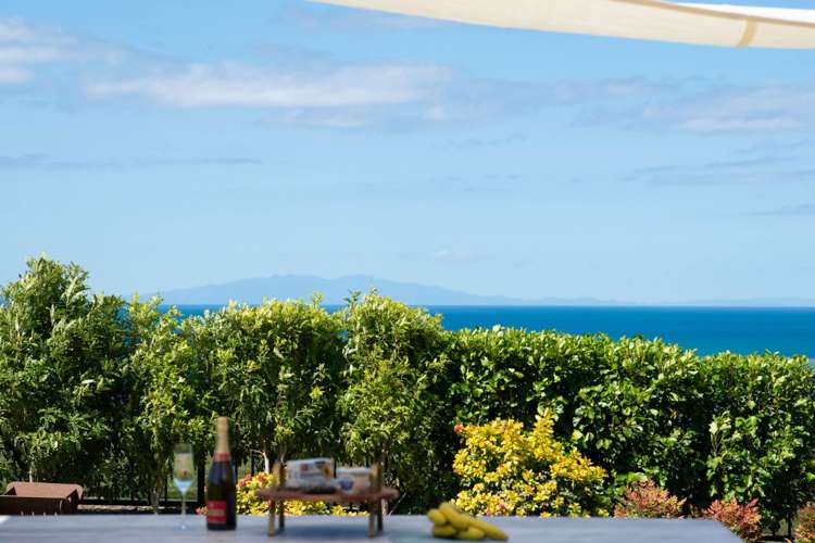 14 Rongoa Road Okura Bush_38